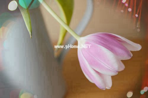 微信朋友圈伤感分手说说49句