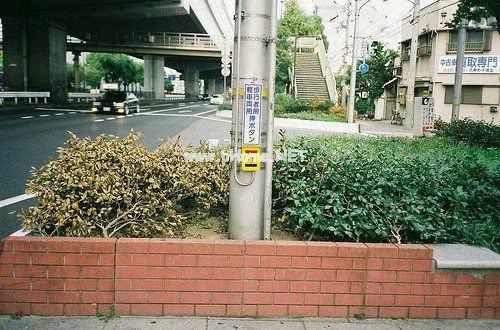 充满正能量的心情说说32句