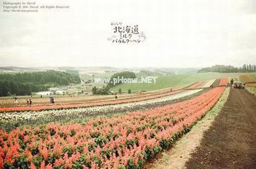 单身说说大全女生霸气