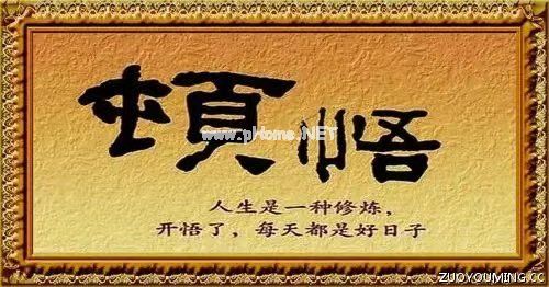 顿悟人生大众哲理的句子
