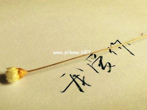 关于爱情简短的唯美句子 一生太短暂,遇到喜欢的人就要认真喜