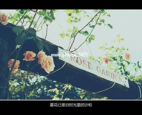 用胡编乱造造句大全 胡编乱造的近义词