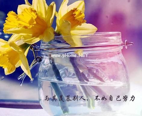 青春奋斗的励志句子