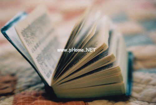 爱戴造句大全 爱戴怎么造句