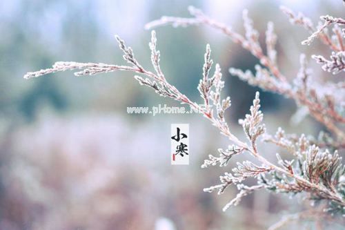 小寒时节绝美的诗词