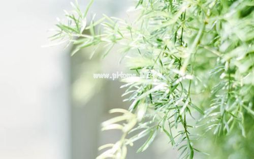 描写成长的唯美句子