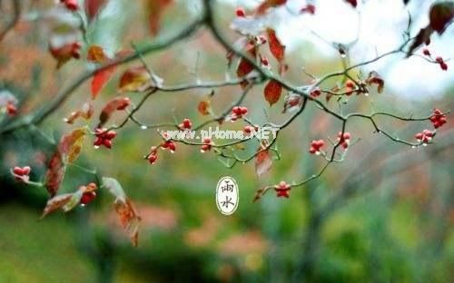 品读二十四节气之雨水的古诗词