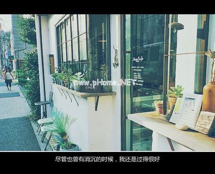 描写歌颂情谊的诗句古诗和优美友谊的句子有哪些