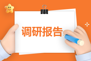 2023最新社会实践的调研报告