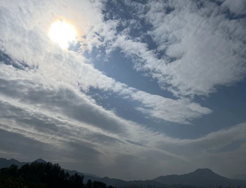简单的助学金感谢信怎么写范文
