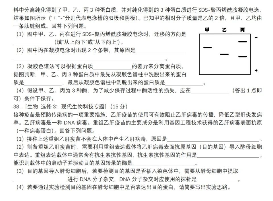 2023年全国甲卷高考生物试卷真题【带解析】