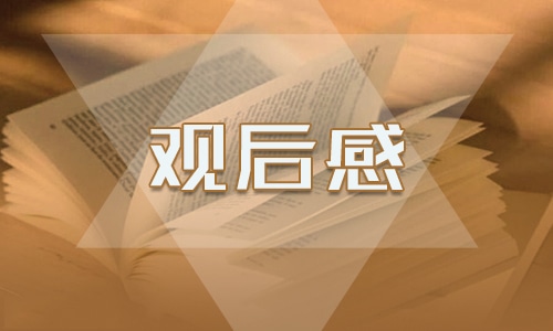 二年级开学第一课观后感300字