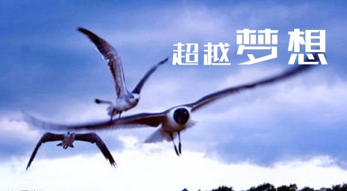 初中生青春励志的励志书籍分享