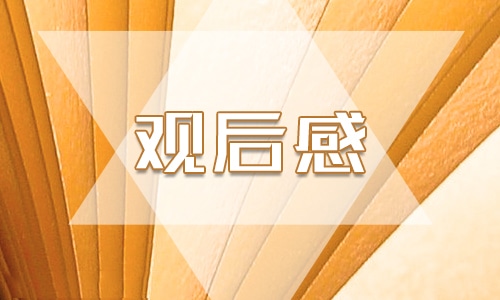 安全教育的观后感800字左右【6篇】