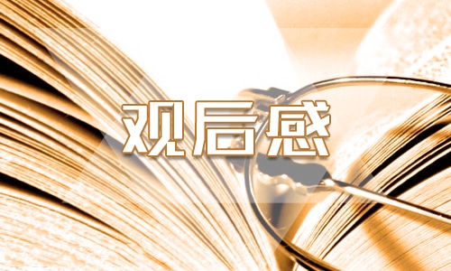 最新优秀小兵张嘎观后感700个字6篇