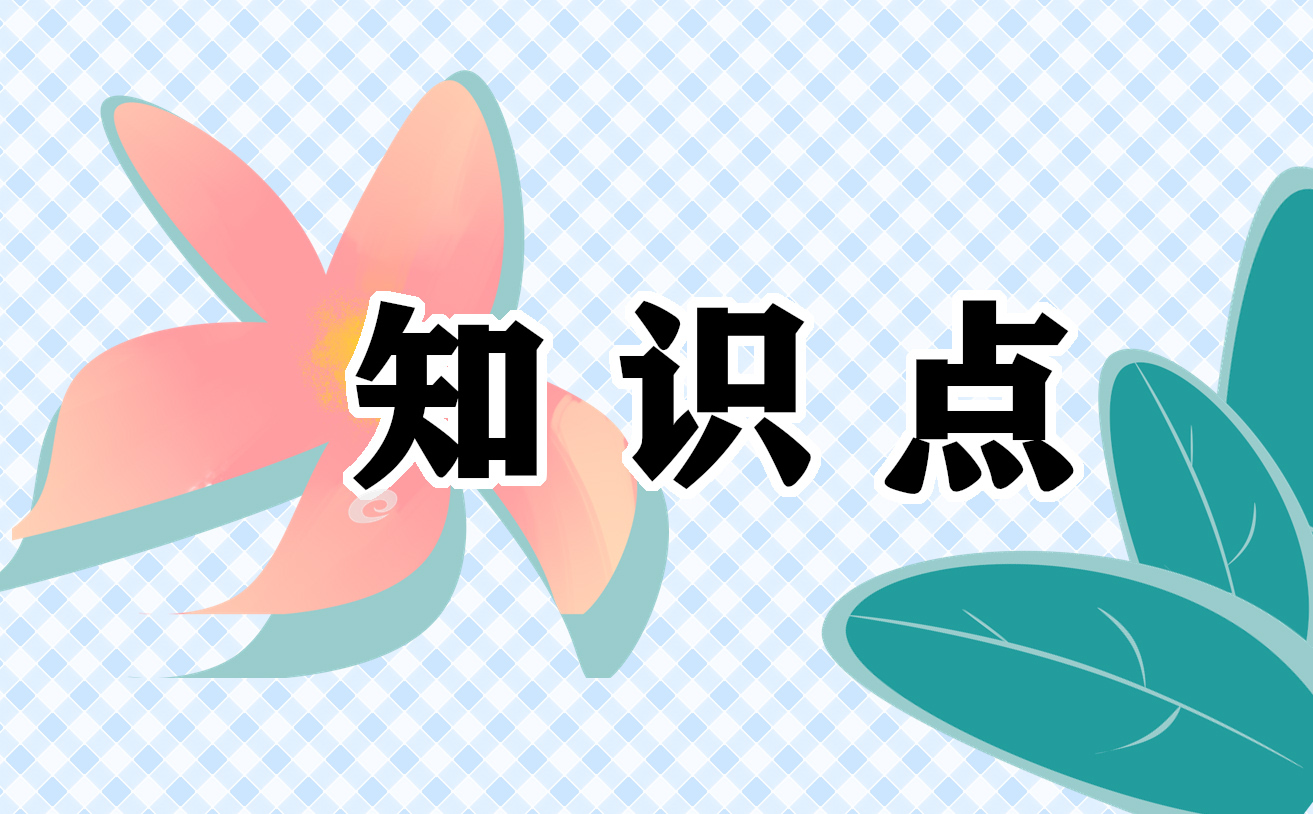 2021中考八年级物理上册知识点大全