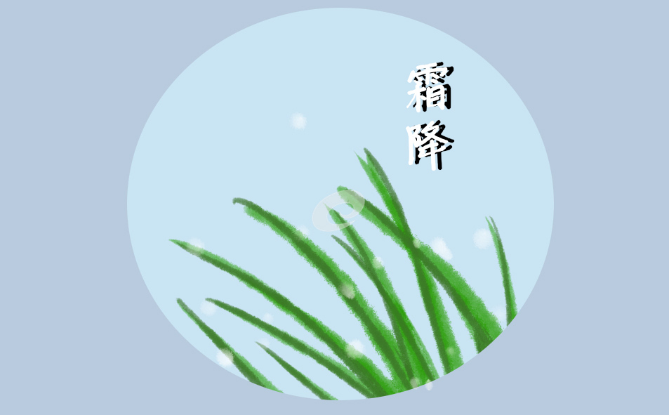关于霜降节气的由来和风俗