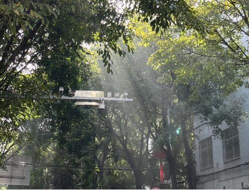 形容夏天的小草好句子好段摘抄80句