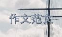我的舞台作文800字记叙文