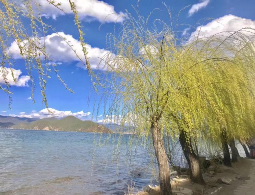 阳光灿烂的夏天好句摘抄