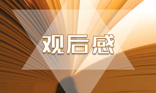 小溪流的歌个人观后感范文400字