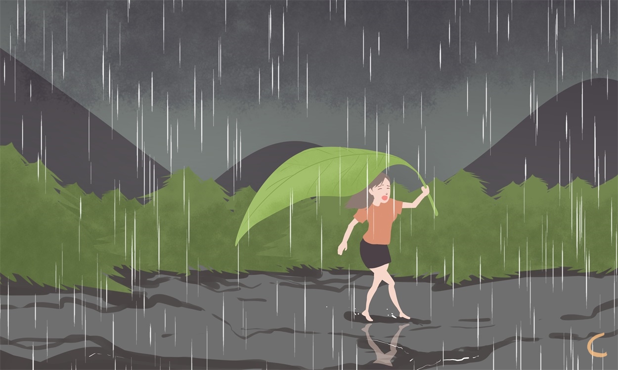 有关雨500字作文