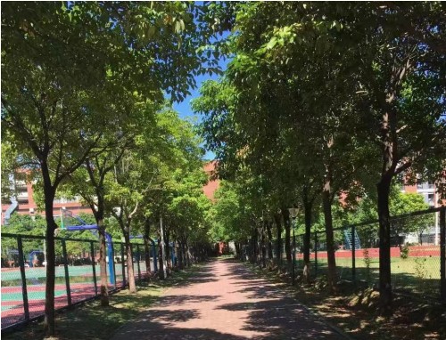 天气炎热高温的文案说说