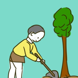 植树征文作文