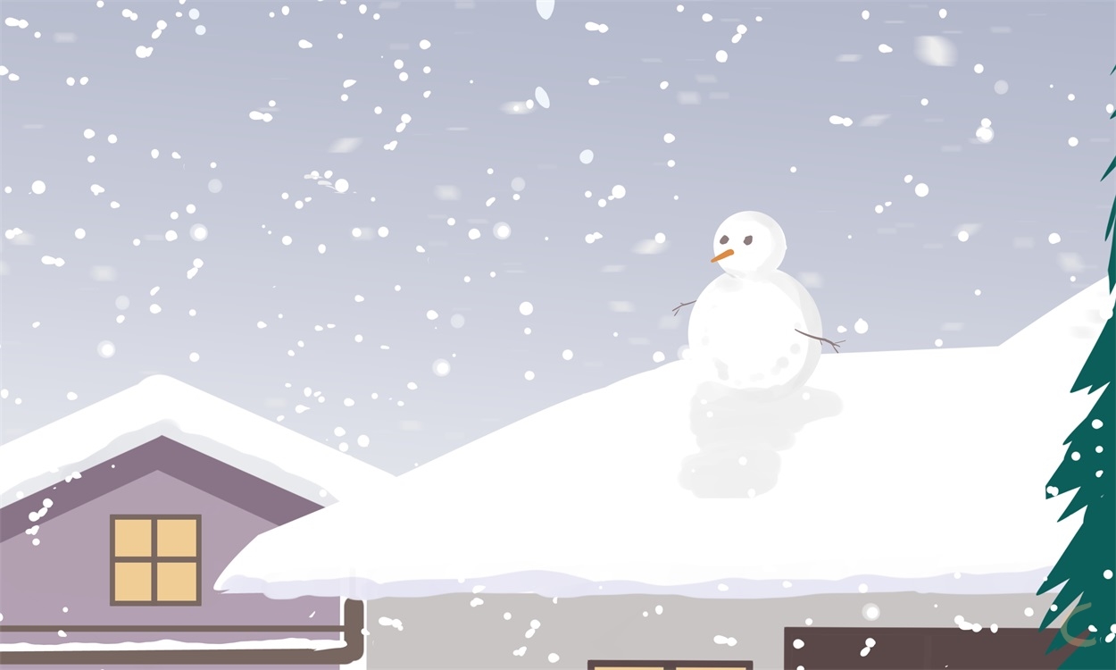 雪作文1000字