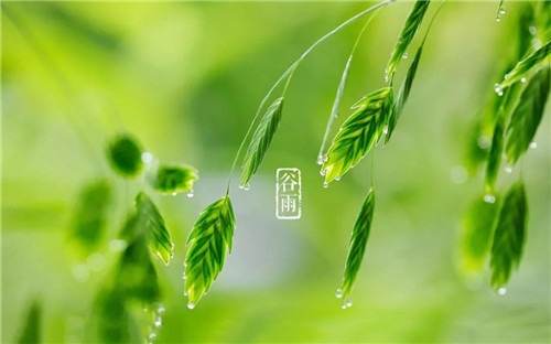 2020谷雨时节说说_谷雨节气微信说说心情句子大全