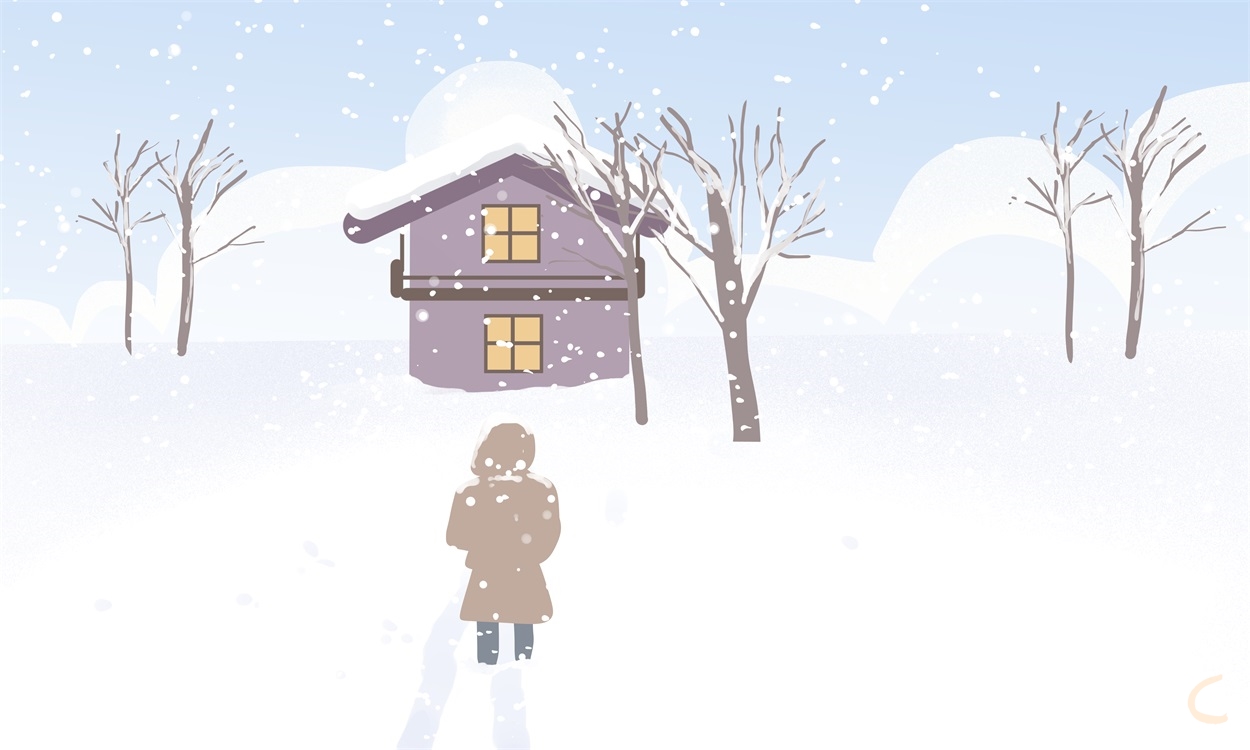 有关雪的作文300字作文