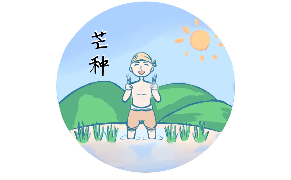 适合芒种节气发朋友圈的句子